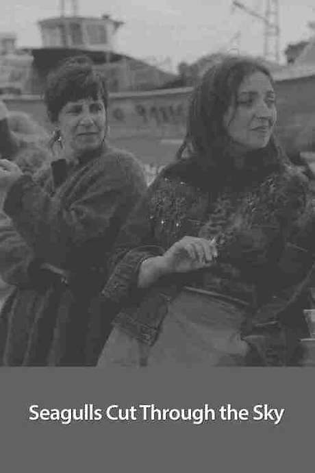 Seagulls Cut Through the Sky